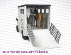 02533 - opuszczony trap